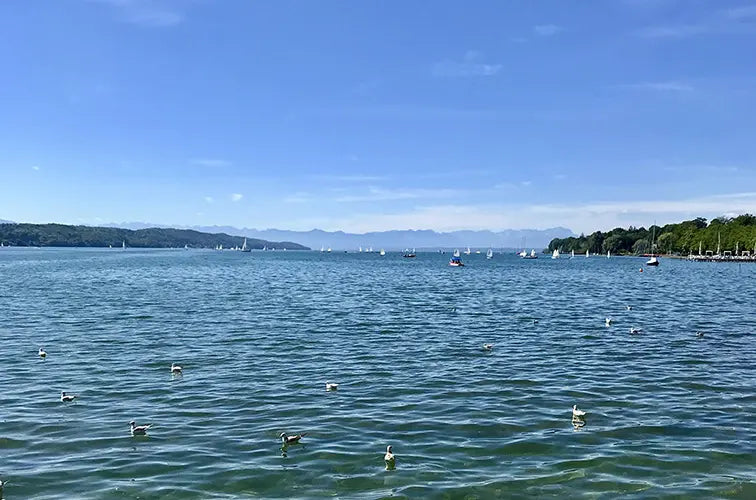 Blick über den Starnberger See mit Segelbooten und Alpenpanorama im Hintergrund – der See ist eng mit dem Leben und Tod von König Ludwig II. verbunden.