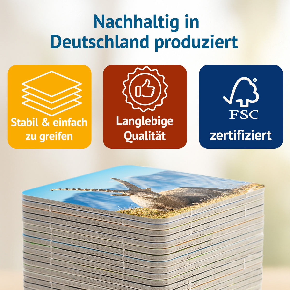 Berchtesgadener Land - Memospiel