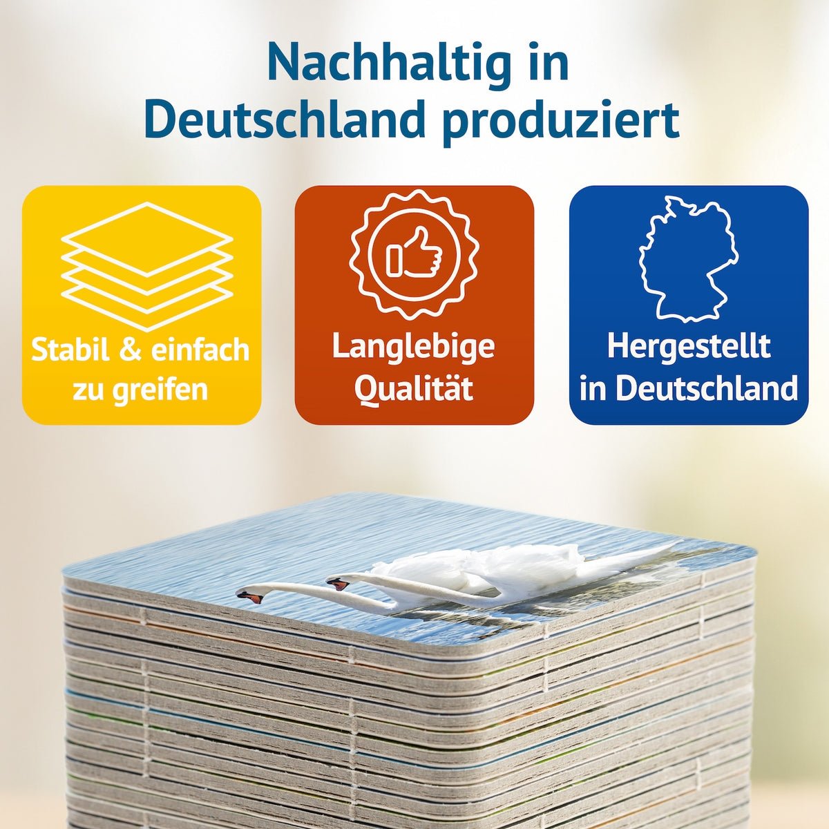 Starnberger See Memospiel