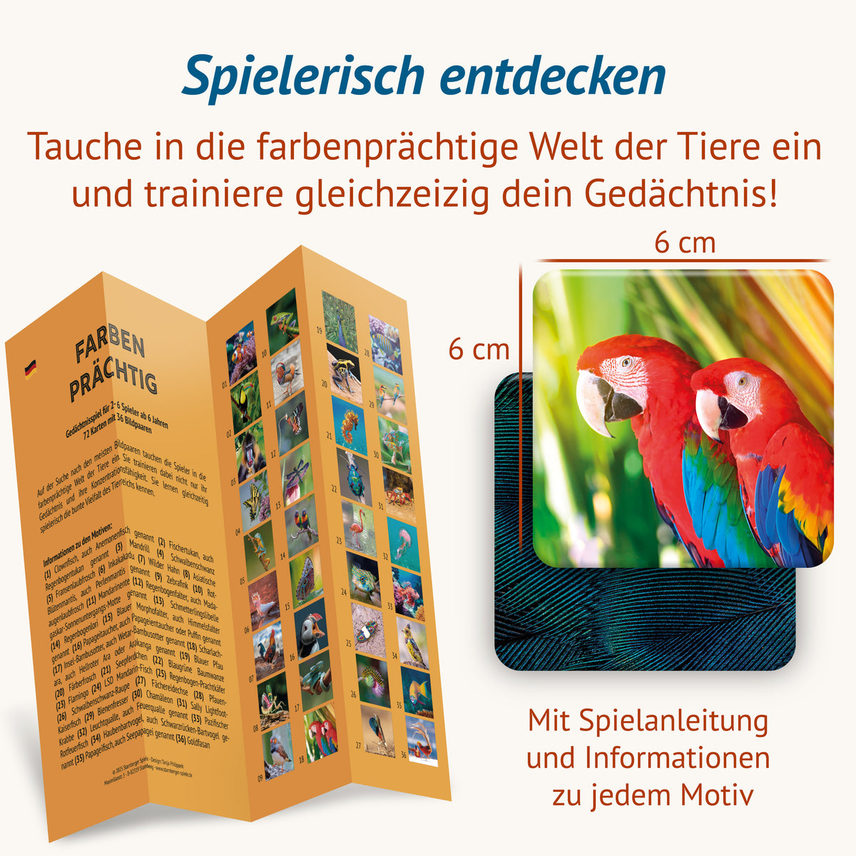 Farbenprächtig - Memospiel