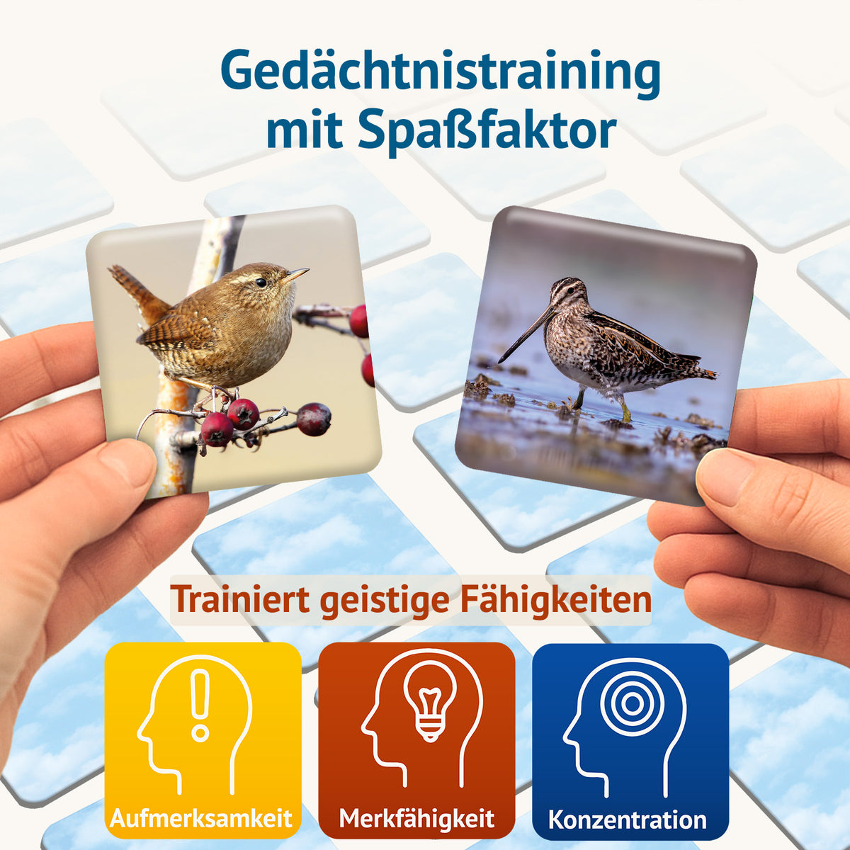 vogelwild - Memospiel