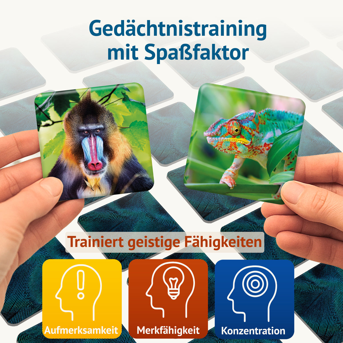 Farbenprächtig - Memospiel