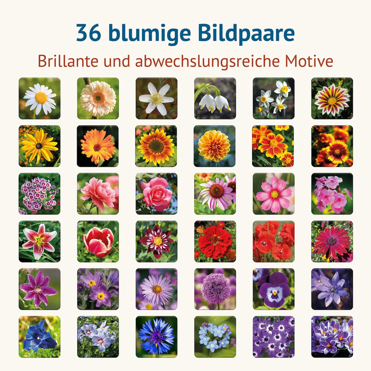 Übersicht aller 36 Blumenmotive des Memospiels Blumig mit farbenprächtigen Blüten wie Rosen, Mohnblumen, Sonnenblumen, Margeriten und Kornblumen.