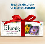 Als Geschenk verpacktes Memospiel Blumig mit roter Schleife – Geschenkidee für Blumenliebhaber, Gartenfreunde und Naturbegeisterte.