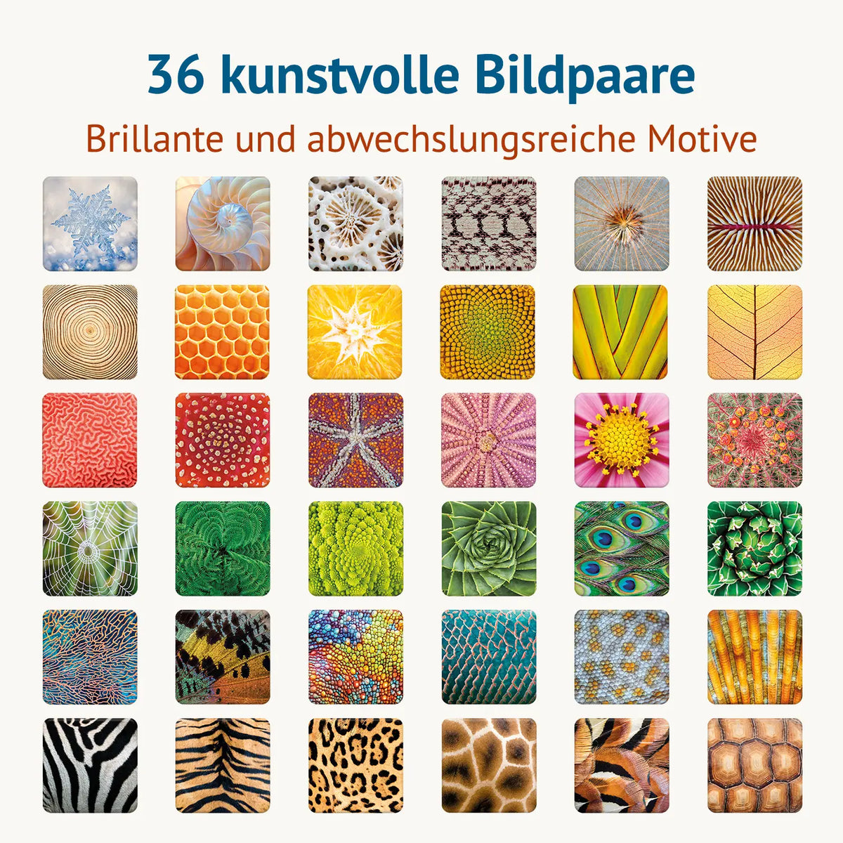 Übersicht aller 36 Motive des Memospiels Kunstvoll – Muster der Natur: Schneekristall, Bienenwabe, Spinnennetz, Seeigel, Chamäleonhaut und Tierfelle