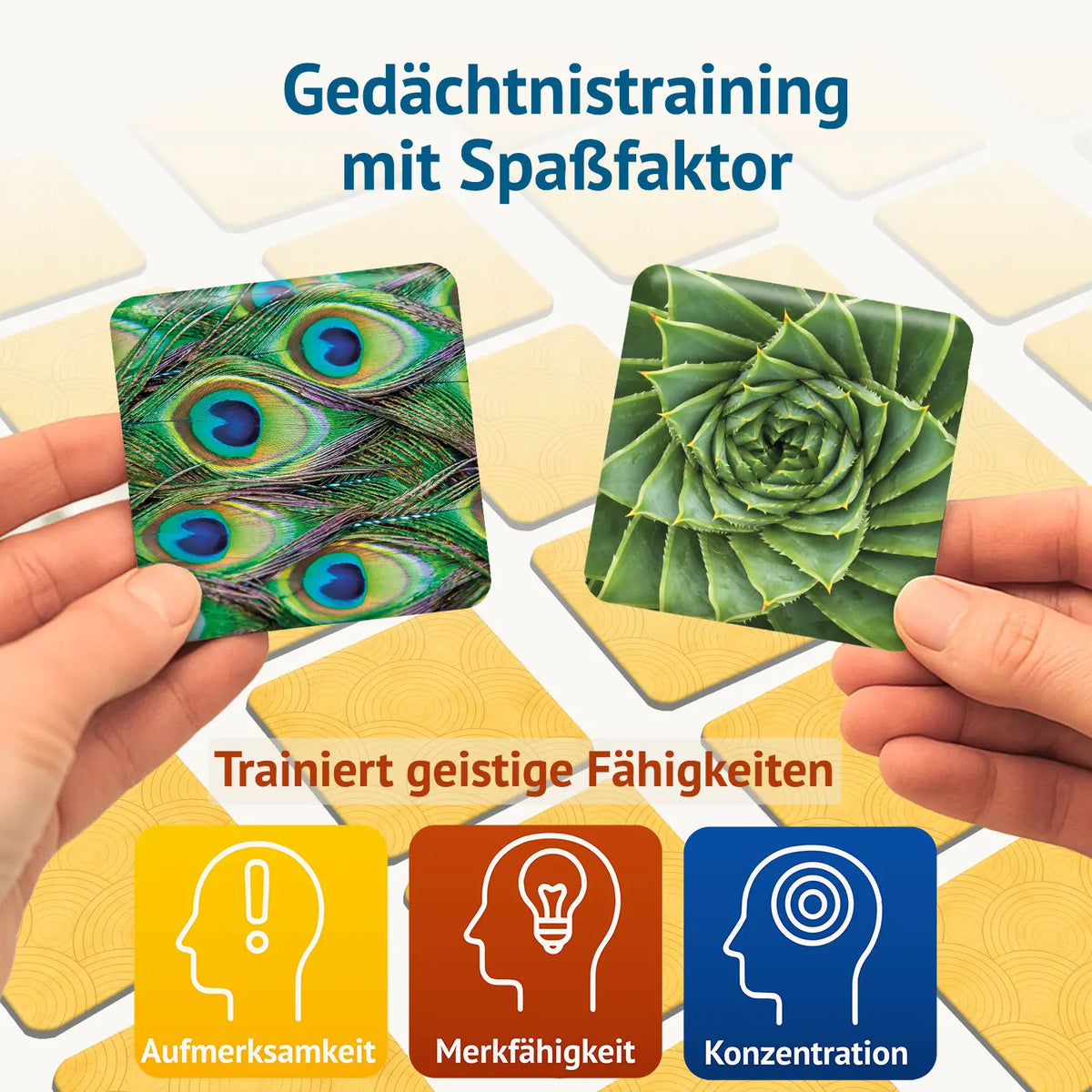 Zwei Hände halten Bildkarten mit Pfauenfeder und Aloe-Spirale – Memospiel Kunstvoll trainiert Aufmerksamkeit, Merkfähigkeit und Konzentration