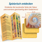 Aufgefalteter Beileger mit Motivliste und Spielregeln, daneben Karte mit Nautilusschale – Kartengröße 6 × 6 cm