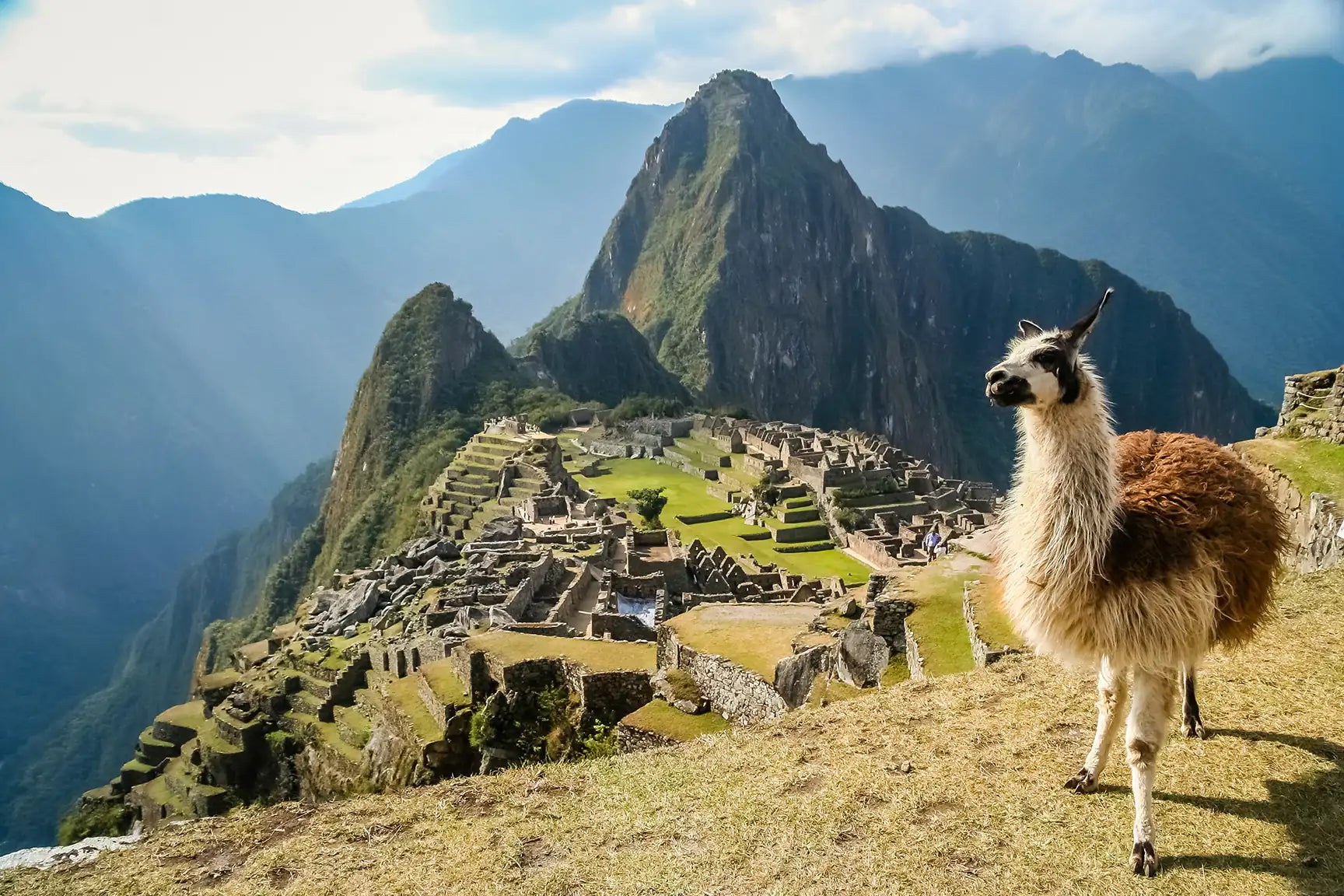 Lama vor Machu Picchu in Peru – Motiv aus dem Lama Memo von Starnberger Spiele