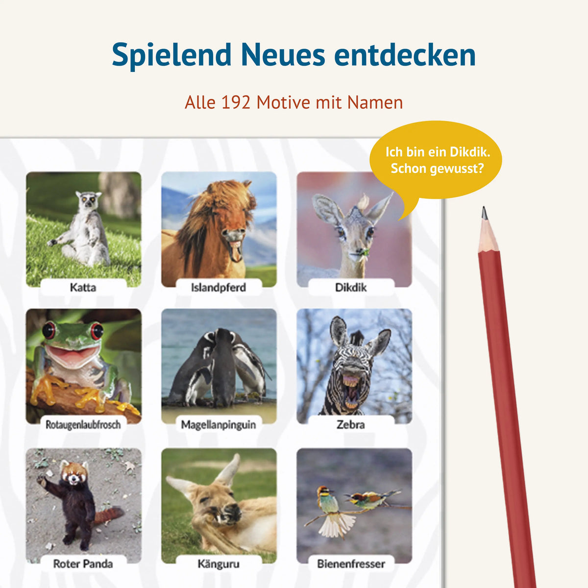 Ausschnitt eines Spielblatts mit lustigen Tierfotos wie Katta, Dikdik, Zebra und Känguru, jeweils mit Namen beschriftet. Text: Spielend Neues entdecken – alle 192 Motive mit Namen. Sprechblase: Ich bin ein Dikdik. Schon gewusst?
