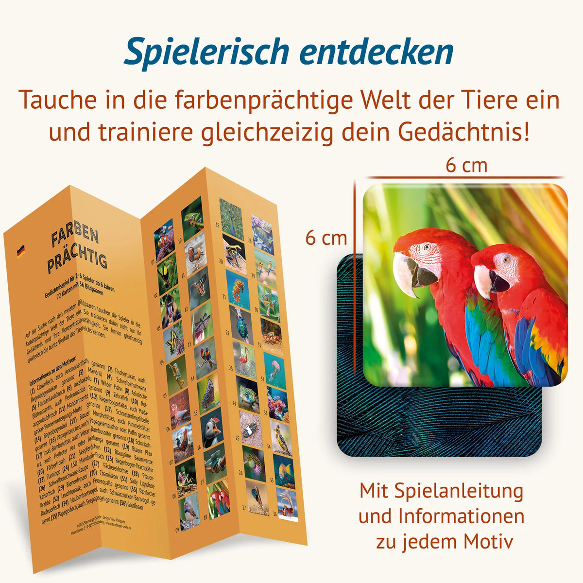 Farbenprächtig Memospiel mit Spielanleitung, Übersicht aller 36 Bildpaare und zusätzlichen Informationen zu jedem Motiv. Das Gedächtnisspiel verbindet farbenfrohe Tierfotografie mit spielerischem Gedächtnistraining.
