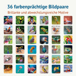 36 farbenprächtige Bildpaare des Farbenprächtig Memospiels mit brillanten Tiermotiven aus aller Welt. Das Gedächtnisspiel verbindet faszinierende Tierfotografie mit spielerischem Gedächtnistraining für Kinder und Erwachsene.