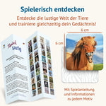 Detailansicht des Memospiels Tierisch Lustig mit humorvollen Tierfotografien, Spielkarten und Informationen zu jedem Motiv