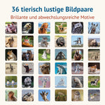 Übersicht der 36 humorvollen Tiermotive des Memospiels Tierisch Lustig mit abwechslungsreichen Tierfotografien und lustigen Bildpaaren