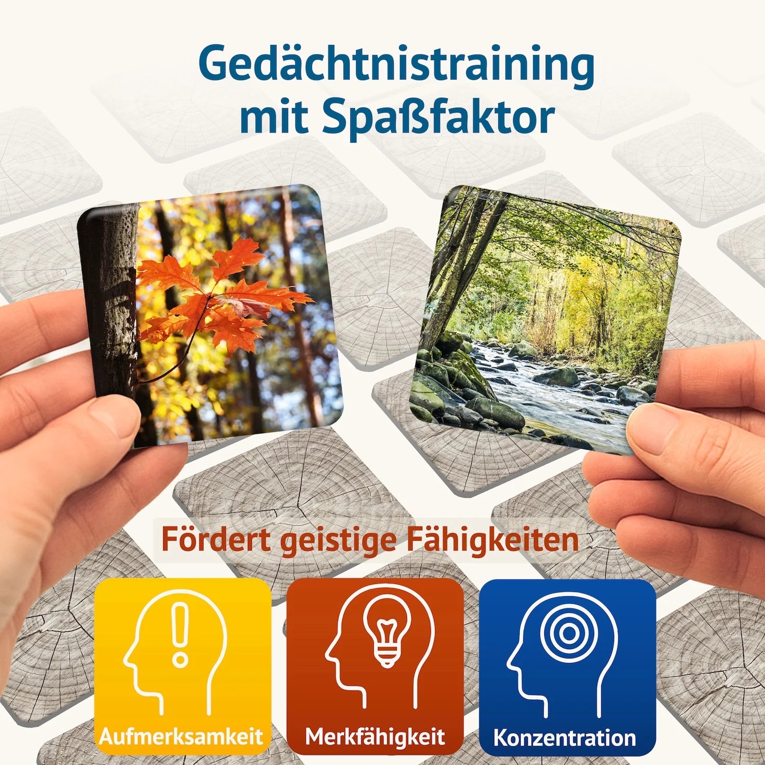 Memospiel Waldbaden mit Naturmotiven für spielerisches Gedächtnistraining