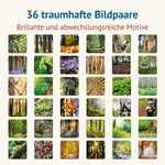 36 Naturmotive des Memospiels Waldbaden mit Wald-, Pflanzen- und Tierfotografien