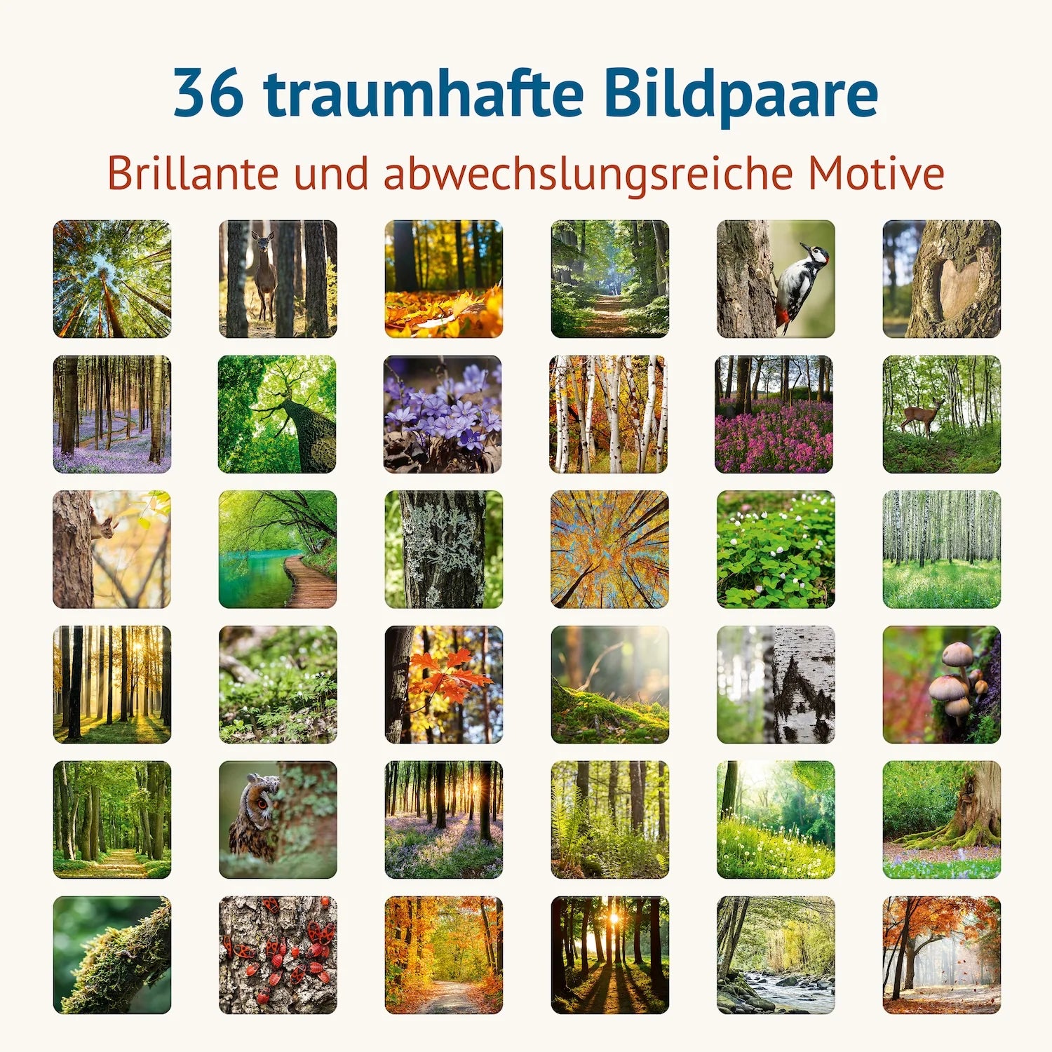 36 Naturmotive des Memospiels Waldbaden mit Wald-, Pflanzen- und Tierfotografien