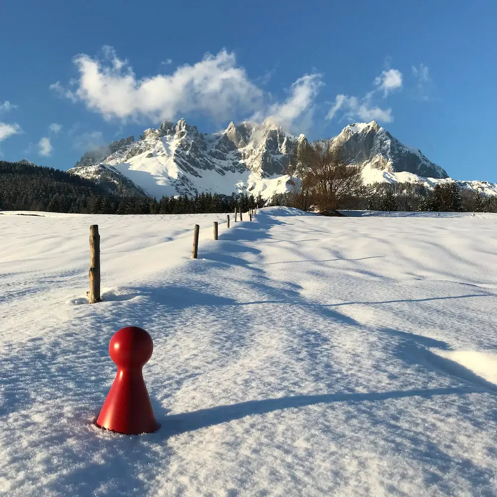 Ms. Meeple im Schnee vor dem Wilden Kaiser bei Going in Tirol