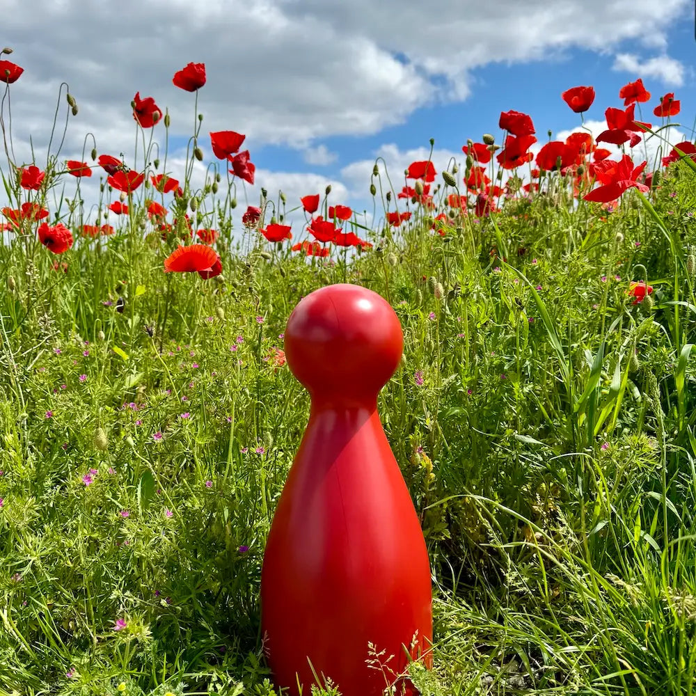 Ms. Meeple in einer blühenden Klatschmohnwiese im Sommer