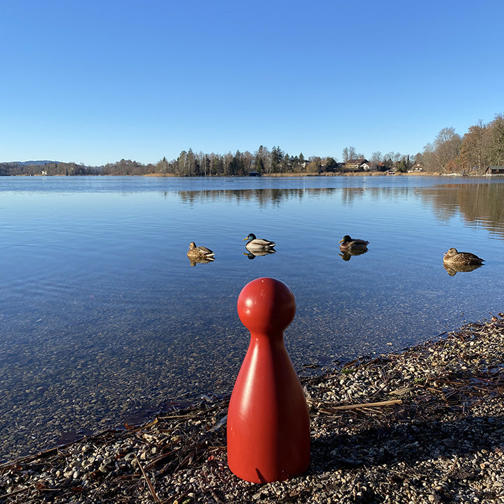 Ms. Meeple am Staffelsee in Oberbayern mit Blick über den See