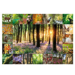 Motiv des Waldbaden Puzzles von Starnberger Spiele mit stimmungsvoller Waldcollage. Im Zentrum befindet sich ein sonnendurchfluteter Buchenwald mit blühendem Waldboden, umrahmt von detailreichen Naturaufnahmen wie Rehbock, Waldohreule, Buntspecht, Eichhörnchen, Farnen, Pilzen, Veilchen, Herbstlaub, Bachlauf und weiteren typischen Pflanzen und Tieren des Waldes. Die abwechslungsreiche Bildkomposition verbindet Naturfotografie und Puzzlevergnügen für Wald- und Naturliebhaber.